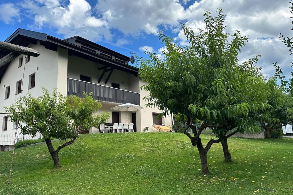 Haus Hafner Sonniges Apartment Terlano Kültér fotó